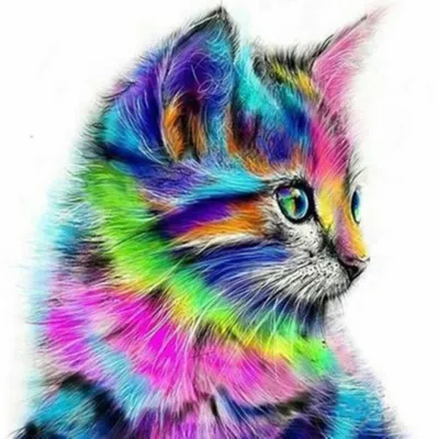 Produktbild von Malen nach Zahlen 5d Diamond Painting Bunte Katze Malen nach Zahlen 15x20cm