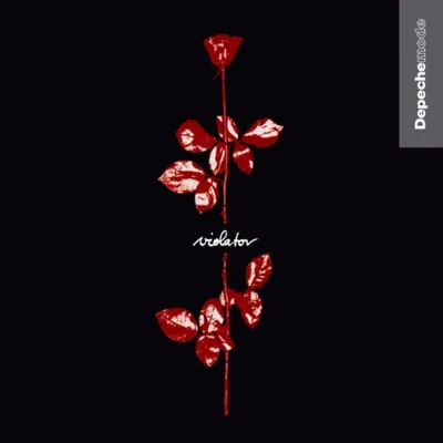 Image de Depeche Mode-Violator