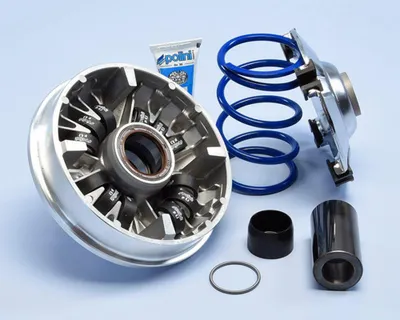 Produktbild von SP 1107213 POLINI Hi-Speed Variator 12 Rollen - Honda SH 350 passend fuer HONDA SH 350