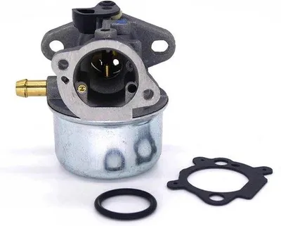Immagine prodotto di Ricambio per carburatore 498170 497586 498254 497314