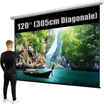 A man is pointing at a large projection screen displaying a scenic landscape.