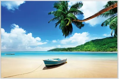 Produktbild von Wallario Wandbild Urlaub am Palmenstrand unter Palmen mit Fischerboot, Größe: 61 x 91,50 cm, Poster mit weißem Aluminiumrahmen