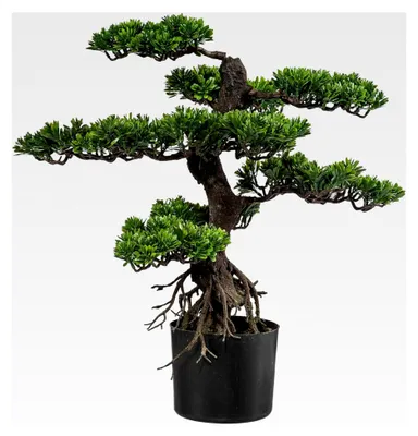 Produktbild von Kunstpflanze Bonsai 75 cm – im schwarzen Topf