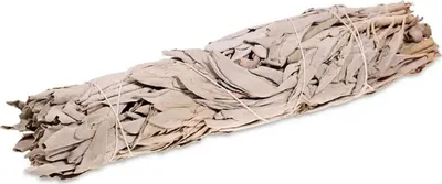 Immagine prodotto di Mazzo di salvia bianca grande -- ±110-140g; ±23x5cm