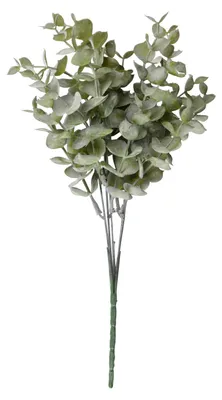 Produktbild von Buchsbaum Zweig "Evergreen" Eukalyptus