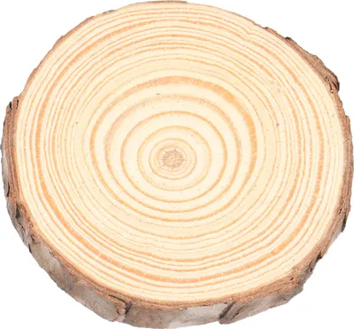 Immagine prodotto di Dischi di legno naturale tondo tronchi di pino fai da te artigianato pittura matrimonio festival decorazione2# 6-7cm