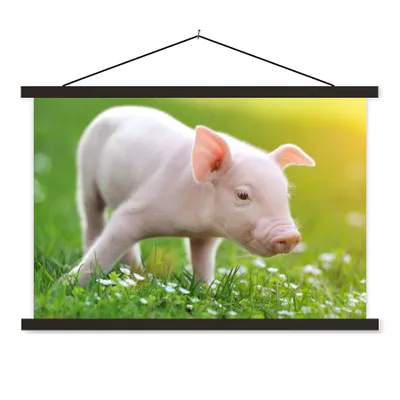 Produktbild von MuchoWow® Textilposter Tiere - Ferkel - Schwein 120x80 cm mit schwarzem Rahmen - Wanddeko