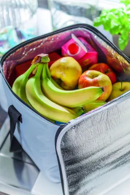 Produktbild von Kühltasche – Faltbare Isliertasche mit isoliertem Reißverschluss Größe ca. 28,5x25x30cm - Verstellbarer Schultergurt
