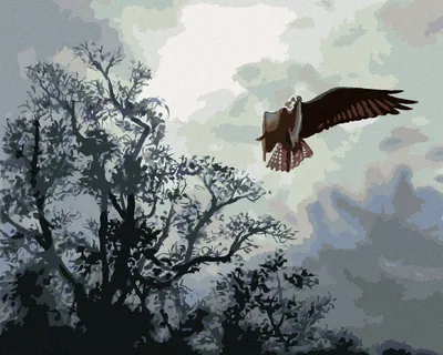 Produktbild von Zuty - Malen nach Zahlen - ADLER IM FLUG UND BÄUME (D. RUSTY RUST), 40x50 cm, mit Keilrahmen (bereits gespannt)