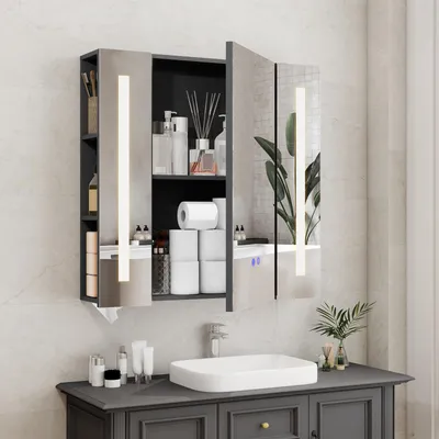 Produktbild von Puluomis Spiegelschrank Bad 70cm mit 3 färbiger dimmbarer Beleuchtung, Gewebebox Fach, Antibeschlag Badezimmerschrank Wandschrank Badezimmer schwarz