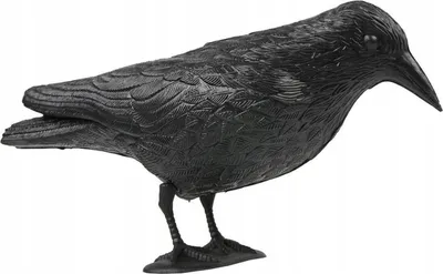 Produktbild von Große Rabenvogelscheuche für Taubenabwehr, 40 cm