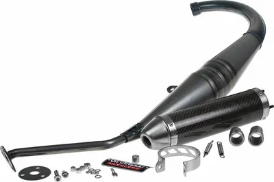 Produktbild von Auspuffanlage Giannelli Strada mit Zulassung, Carbon für Aprilia RS 50 99-05 / Tuono 50 03-07