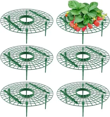 Immagine prodotto di Protezione per fragole e ortaggi - Set di 6 tutori - Tutori in plastica verde per fragole - Per la coltivazione di fragole, orchidee e ortaggi