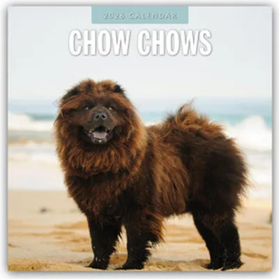 Obrázok produktu pre Chow Chows - Chow Chow 2026 - 16-mesačný kalendár