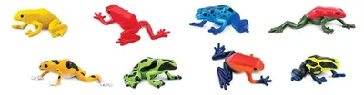 Produktbild von Safari Ltd Poison Dart Frogs TOOB, 3 Jahr(e), Poison Dart Frogs, Mehrfarbig
