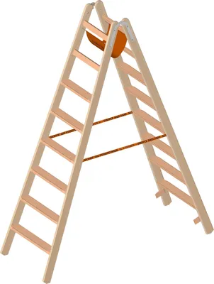 Zdjęcie produktu dla Drabina drewniana Layher ze stopniami 1020 2 x 8 szczebli