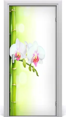 Produktbild von Tulup Türaufkleber 95x205 cm Dekorative Aufkleber Selbstklebend Wasserdichte Tapete Abnehmbar Schlafzimmer Wohnzimmer Wohnkultur - Orchideen und Bambus