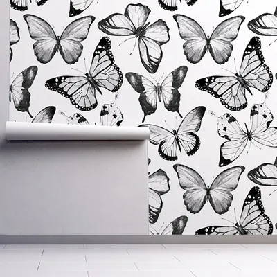 Produktbild von Coloray Fototapete 152x104 cm Latextapete Magicstick - Schmetterling