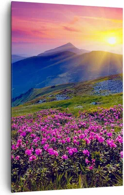 Produktbild von Bild auf Leinwand - Leinwandbild - Einteilig - Wiese Berge Landschaft - 80x120cm - Wand Bild - Wanddeko - Wandbilder - Leinwanddruck - Wanddekoration - Leinwand bilder - Wandbild - PA80x120-2676
