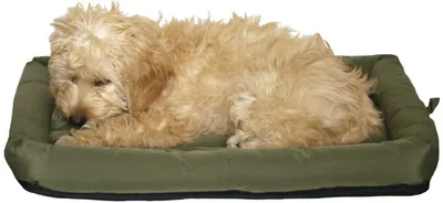 Productafbeelding van Rosewood hondenmat XL, 110 x 82 cm, waterafstotende gequilte mat voor honden, lichtgewicht