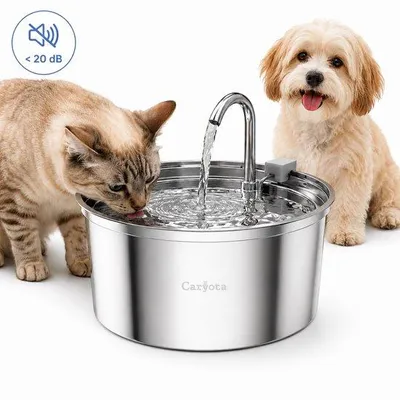 Produktbild von Caryota Automatischer Katzen Trinkbrunnen 3,2 L aus Edelstahl – Leise Trinkfontäne für Katzen und Hunde, BPA-frei & spülmaschinengeeignet