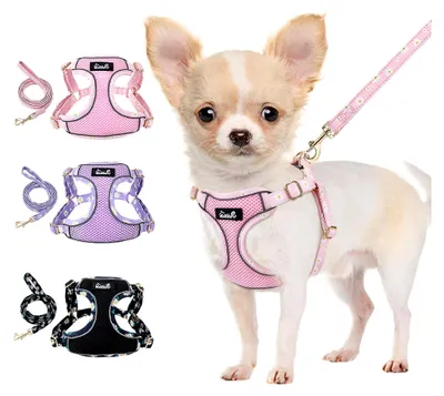 Produktbild von Hundegeschirr für kleine Hunde mit Leine, Atmungsaktives Air Mesh Brustgeschirr mit reflektierenden Streifen, Verstellbares Step-in Geschirr für extra kleine und kleine mittelgroße Hunde, Rosa, XXS