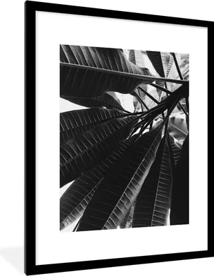Produktbild von MuchoWow® Gerahmtes Poster Palmenblatt - Tropisch 60x80 cm - Poster mit Schwarzem Bilderrahmen Wandposter Rahmen Foto Bilder - Wohnzimmer - Dekorationen - Prämie