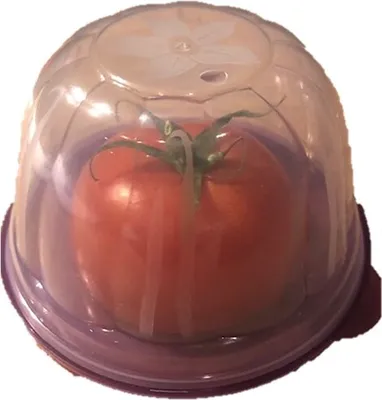 Produktbild von Tomaten Dose 3er Set auch für Zwiebeln Käse und allen kleinen Produkte geruchslos im Kühlschrank lagern