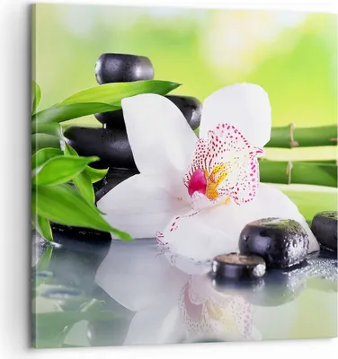 Produktbild von Bild auf Leinwand - Leinwandbild - blume orchidee - 60x60cm - Wand Bild - Wanddeko - Wandbilder - Leinwanddruck - Bilder - Kunstdruck - Wanddekoration - Leinwand bilder - Wandkunst - AC60x60-3659