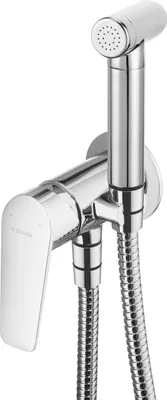 A close-up studio shot of a chrome bidet faucet with a hand shower and hose, mounted on a white background.