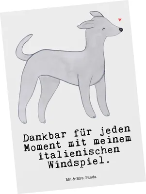 Produktbild von Mr. & Mrs. Panda Postkarte Italienisches Windspiel Moment - Weiß - Geschenk, Fotokarte, Ansichtskarten, Italian Greyhound, Grußkarte, einzelkarte, Postkarten, Windhund