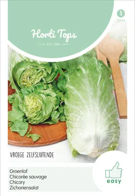 Artikelbild 2 von 'Zichoriensalat Zuckerhut' aus der Kategorie Zuckerhutsamen