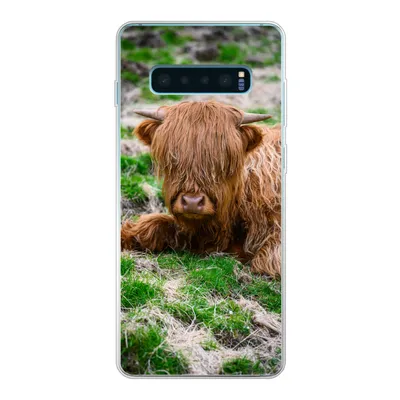 Produktbild von MuchoWow® Handyhülle Schutzhülle Hülle für Samsung Galaxy S10 Lite Schottischer Highlander - Heu - Gras Silikon Softcase Handy Hülle - Schutz