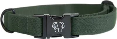 Obrázek produktu pro Kentucky Dogwear Ještěrčí obojek pro psy olivově zelený S
