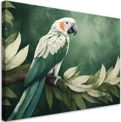 Produktbild von Leinwandbild Papagei Vogel Tiere grün 60x40 Feeby Grün bild für die wand bereit zum aufhängen