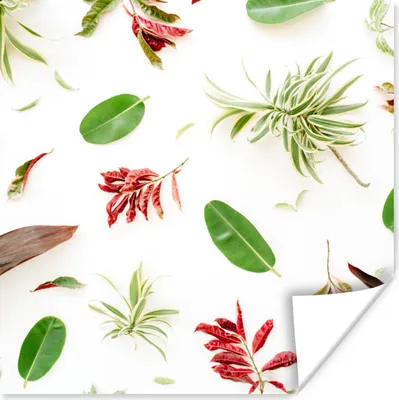 Produktbild von MuchoWow® Poster Tropisch - Blätter - Rot 50x50 cm - Wohnzimmerdekoration