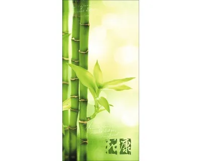 Produktbild von Leinwandbild Ayurveda I 50x100 cm