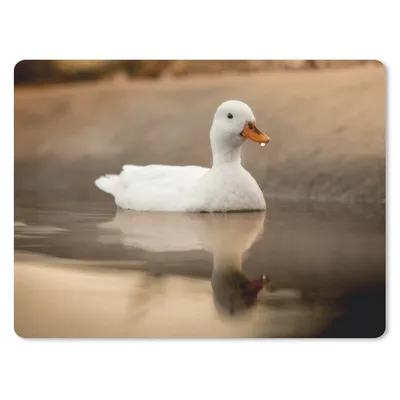 Produktbild von MuchoWow® Mauspad Mousepad Ente - Vogel - Wasser - Weiß 23x19 cm - Mousepads - Maus Mat - Pad - Mausunterlage - Schreibtischunterlage - Mauspad