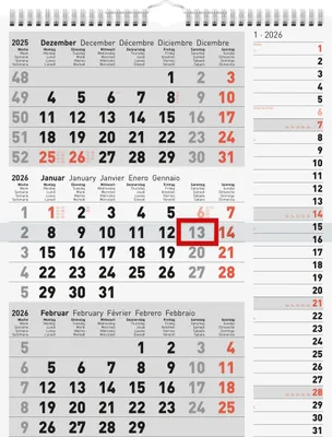 Produktbild von rido/idé 7033330006 | 3-Monatskalender 2026 | grau, 300×390