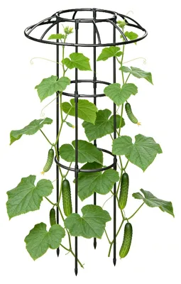 Productafbeelding van Roestbestendig Tuinlatwerk voor Klimplanten