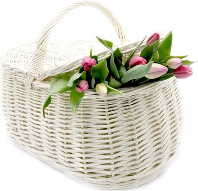 A white wicker picnic basket filled with pink and white tulips.