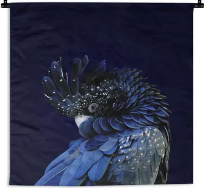 Produktbild von MuchoWow® Wandteppich Wandbehang Blauer Kakadu mit dunklem Hintergrund 60x60 cm Tapisserie Dekoration Wandtuch - Dekorationen - Wand Decke