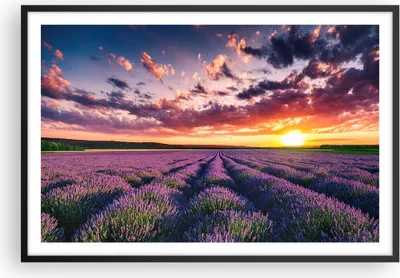 Produktbild von Gerahmtes Poster - Schwarzer Rahmen - Lavendel Berge Feld - 91,5x61 cm - Wand Bild - Wanddeko - Wandbilder - Kunstposter - Wandposter - Bilderrahmen - Bilder - Kunstdruck - Wandbild - P2BAA91x61-3816