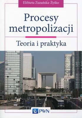 Zdjęcie produktu dla Procesy metropolizacji