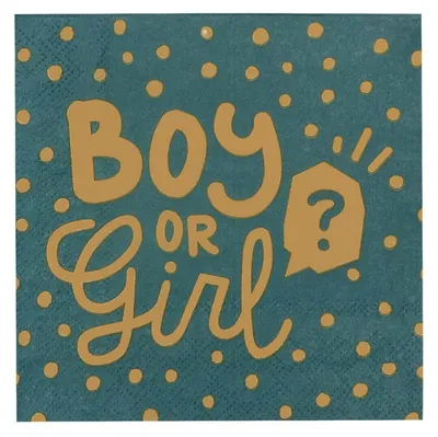 Produktbild von 12 Boy or Girl Servietten