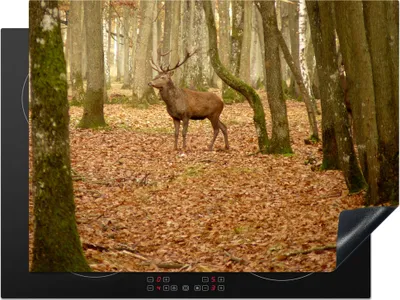 Produktbild von KitchenYeah© Herdabdeckplatte Hirsche - Herbst - Wald , 71x52cm, Küche Deko, Glaskeramikkochfeld Herdabdeckung, Abdeckplatte fùr Kochfeld