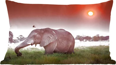 Produktbild von MuchoWow® Zierkissen Sofakissen Wohnzimmer Dekokissen 60x40 cm Elefant - Gras - Sonne - Tiere - Kopfkissen - Polster mit Foto