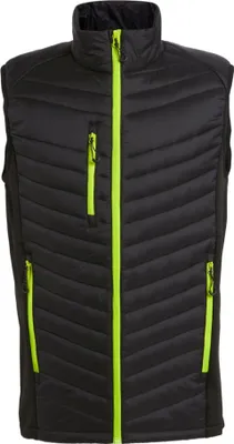 Image de Regatta Professional - Gilet hybride pour homme RG9422 (L) (Noir/Limon)
