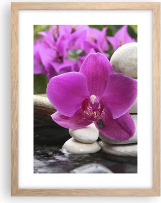 Produktbild von Gerahmtes Poster - Rahmen in heller Eiche - Orchidee Bambus Dekoration Spa - 30x40 cm - Wand Bild - Wanddeko - Wandbilder - Wandposter - Bilderrahmen - Bilder - Kunstdruck - Wandbild - P2NPA30x40-2666