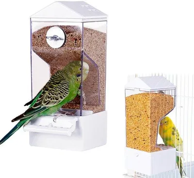 Imagen del producto de Dispensador automático de comida para pájaros - Fácil de usar - Ideal para pequeños parques de aves